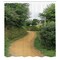 Ambesonne Hobbits Shower Curtain, Elf Path in Woods of Hobbit Land in The Shire New Zealand Movie Set Image Print, Cloth Fabric Bathroom Decor Set with Hooks, 69" W x 70" L, Green Brown
